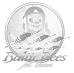 Baltic Bees Jet Team emblem