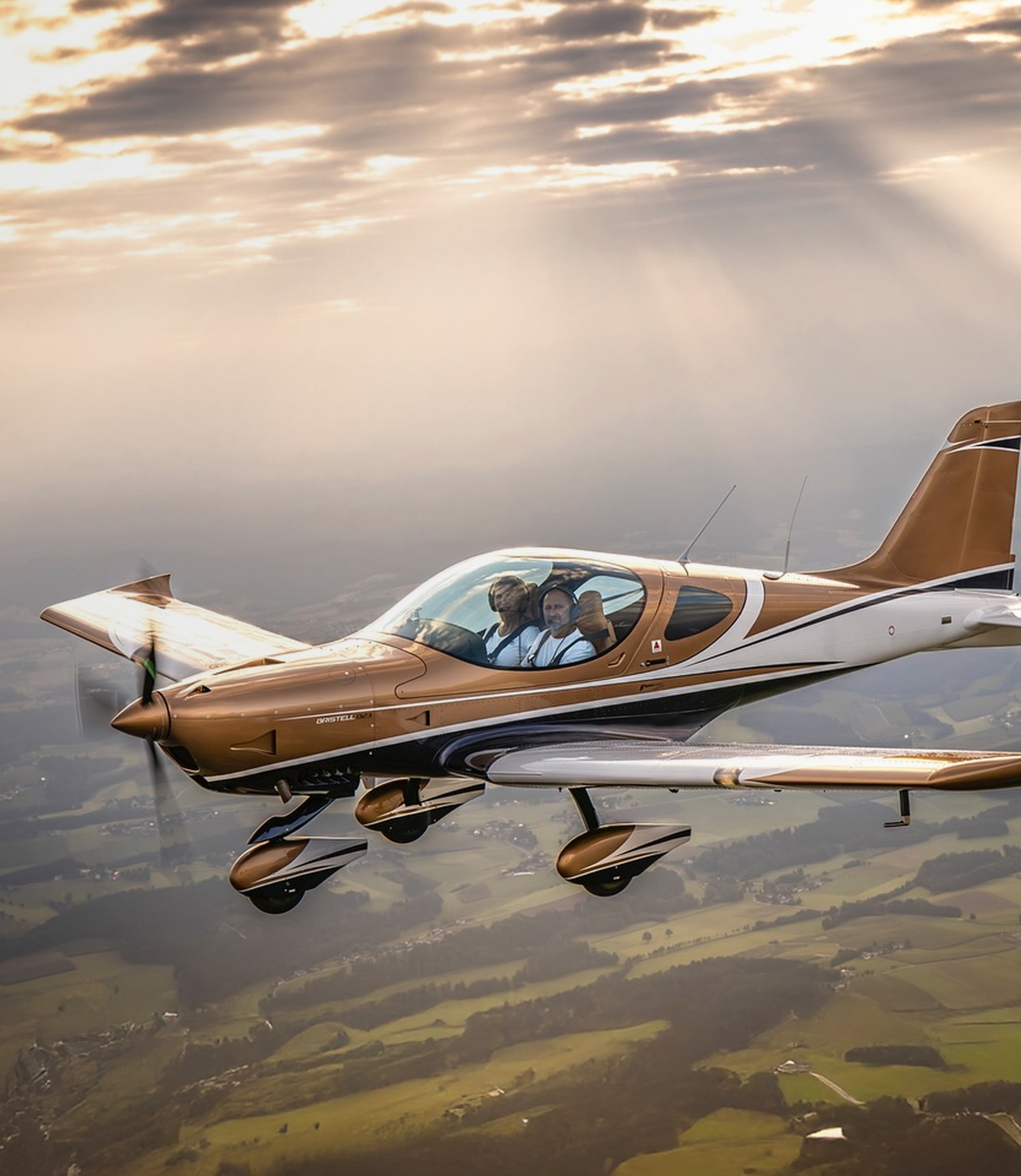 Pilot licence