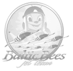 Baltic Bees Jet Team emblem